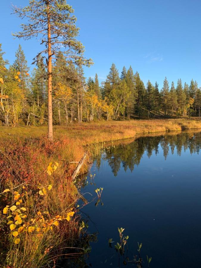 Off-Grid Cabin In Nattavaara Lapland 외부 사진