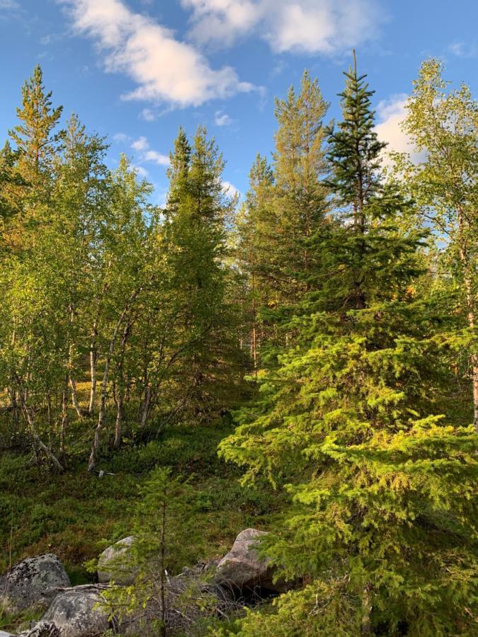 Off-Grid Cabin In Nattavaara Lapland 외부 사진