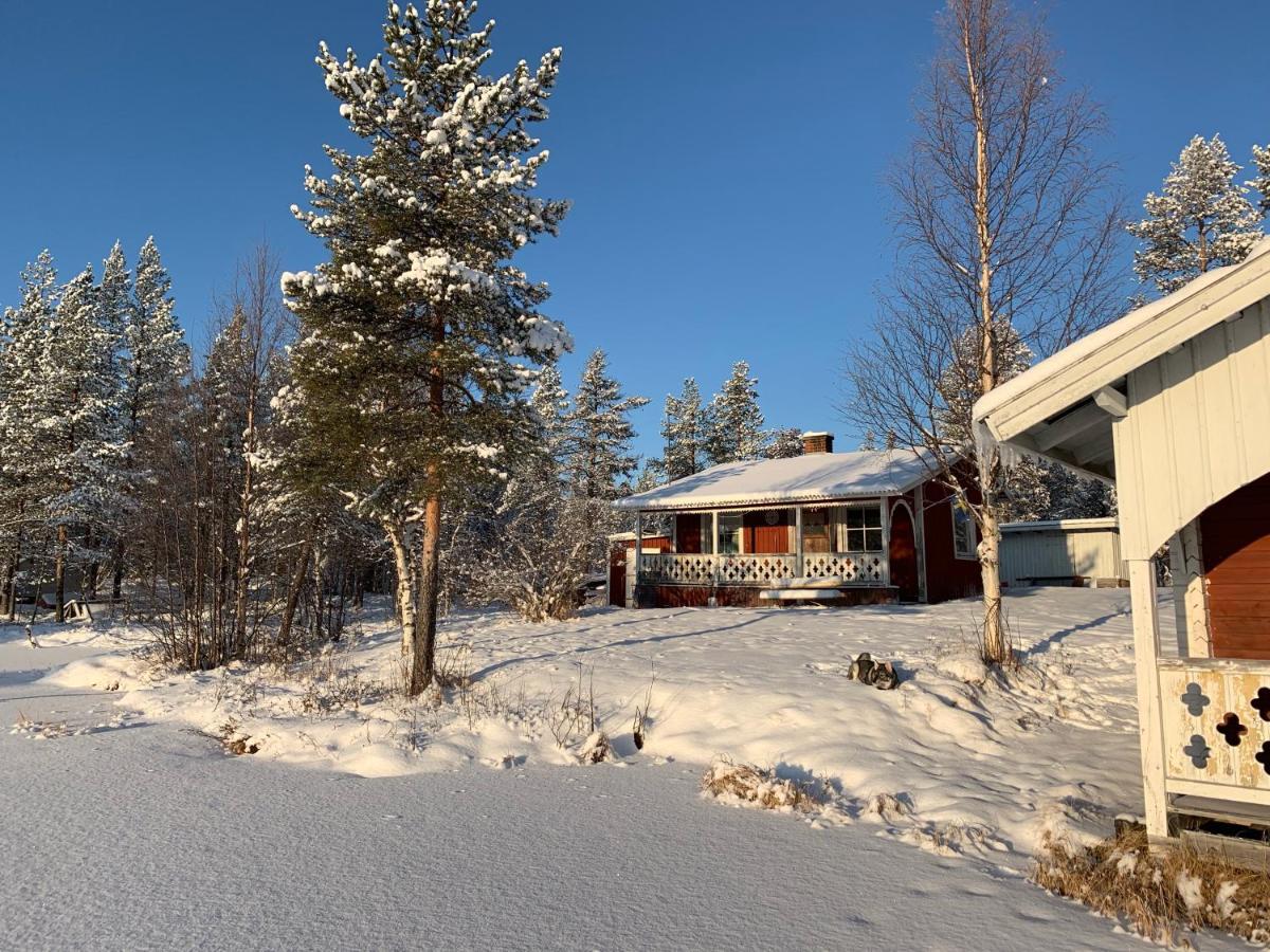 Off-Grid Cabin In Nattavaara Lapland 외부 사진