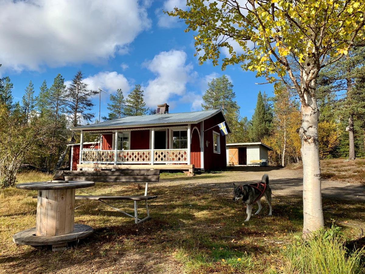 Off-Grid Cabin In Nattavaara Lapland 외부 사진